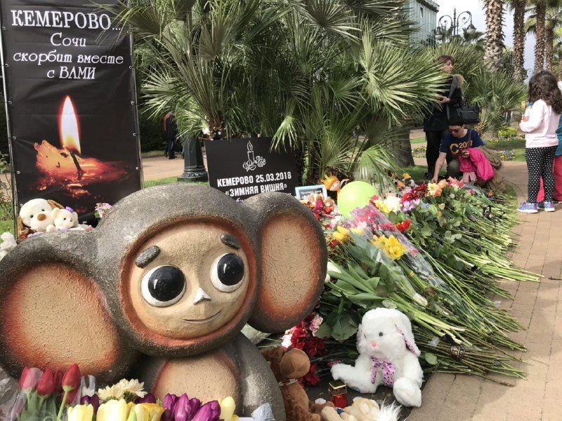 Сочинцы продолжают нести цветы и игрушки к самодельному мемориалу. Сочинцы продолжают нести цветы и игрушки к самодельному мемориалу.