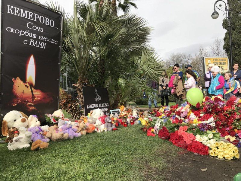 Сочинцы продолжают нести цветы и игрушки к самодельному мемориалу. Сочинцы продолжают нести цветы и игрушки к самодельному мемориалу.