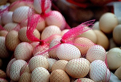 С января их будет навалом: россиянам раскрыли, когда цена на яйца рухнет 