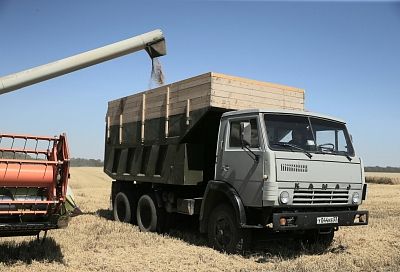 В Краснодаре собрано более 72,8 тыс. тонн зерна