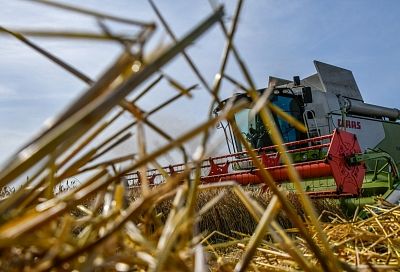 На Кубани себестоимость будущего урожая зерновых повысится на 12% из-за роста на дизель 