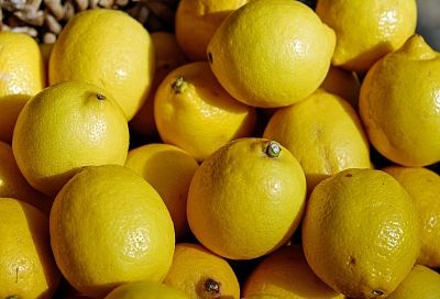 Первый в России: на Кубани построят завод по производству лимонной кислоты за 60 млрд