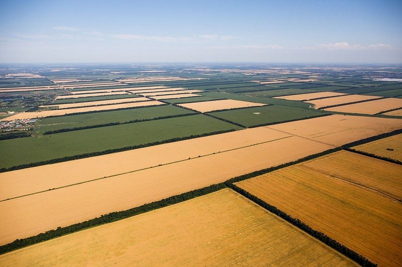 В Новопокровском районе площадь сельхозугодий – 170 тысяч гектаров. Из них 14 тысяч в руках фермеров. 
