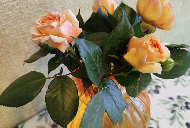 Нарву цветов и подарю букет: флорист рассказала, какие из них быстро завянут и начнут плохо пахнуть