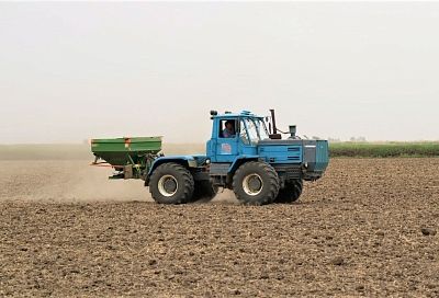В Краснодарском крае засеяли 55 тысяч гектаров риса