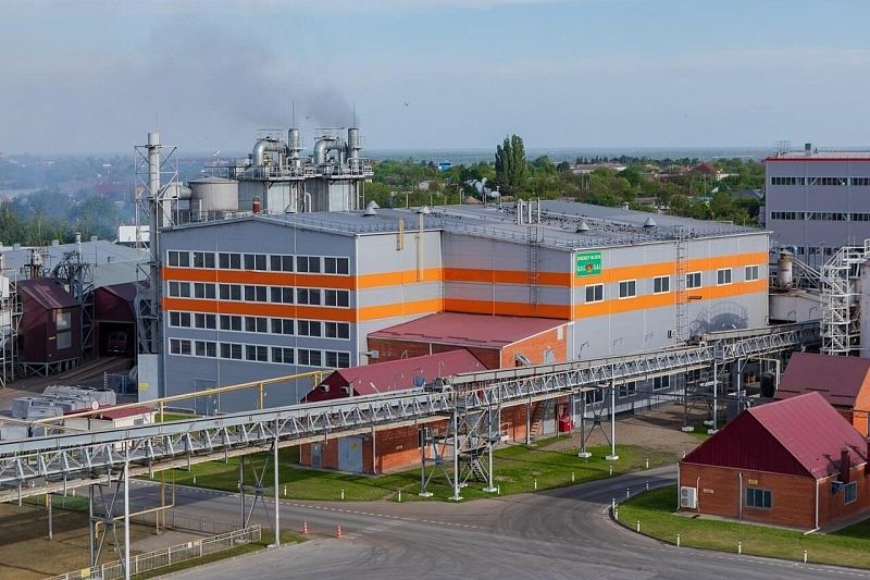 Губернатор Вениамин Кондратьев: «Краснодарский край наращивает темпы производства растительных масел»